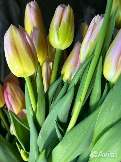 Букет цветов