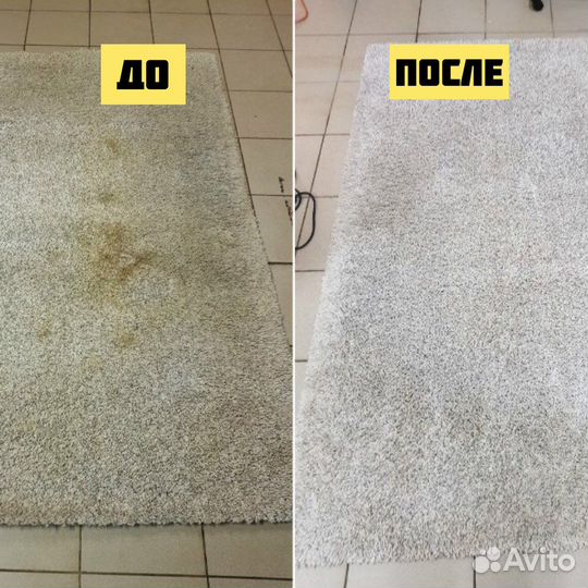 Аренда моющего пылесоса