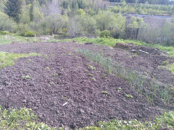 Дом 50 м² на участке 15 сот.