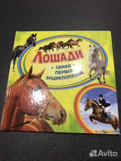 Лошади Самая первая энциклопедия