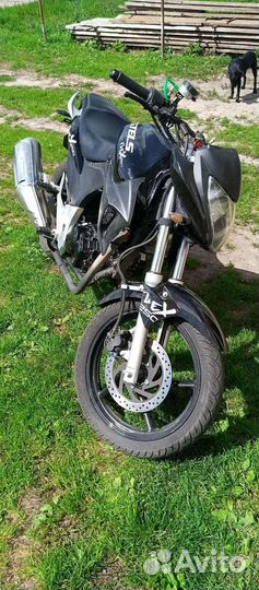 Продам stels flex 250