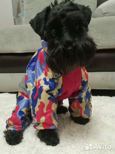 Комбинезон для маленькой собаки