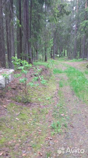 Земельный участок для базы отдыха у озера