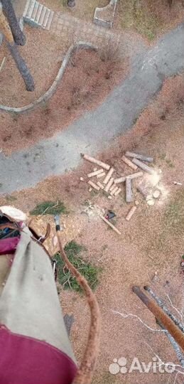 Удаление,обрезка деревьев.Расчистка участков