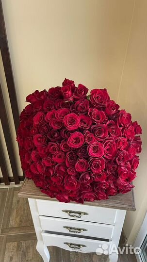 Доставка буктов. 101 роза Эквадор красная