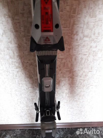 Горные лыжи Fischer