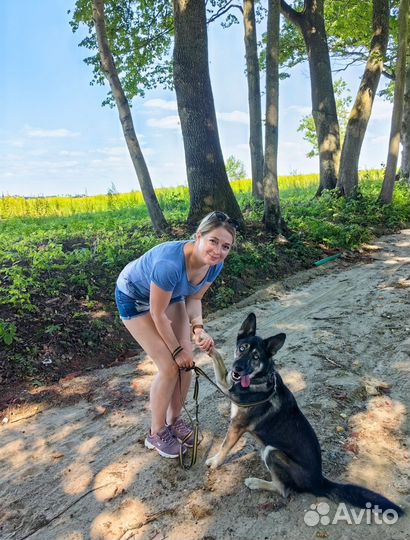 Зоогостиница для собак