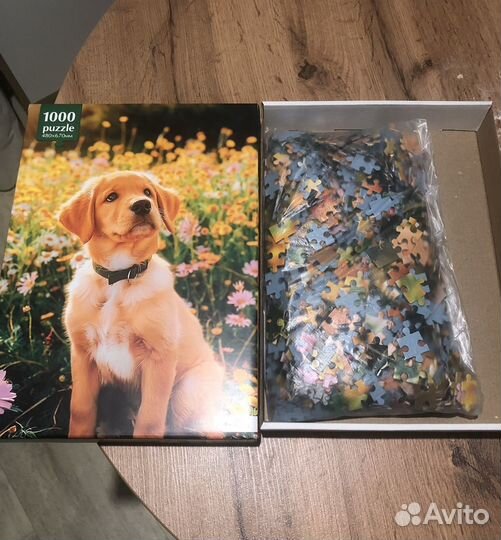 Пазл собака лабрадор