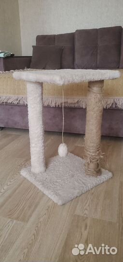 Когтеточка