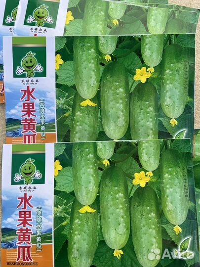 Семена огурцов, помидор, укропа Китай большая