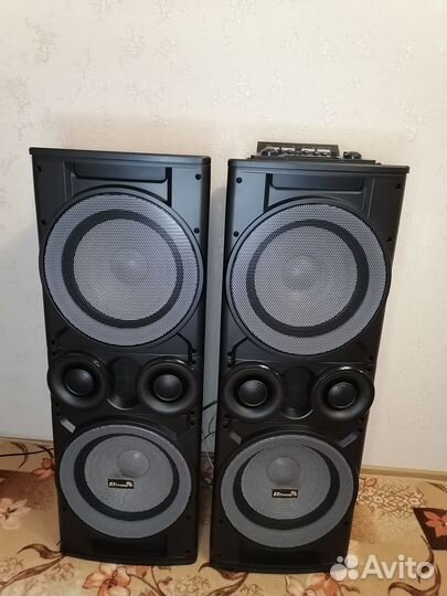 Акустическая система Eltronic 20-06