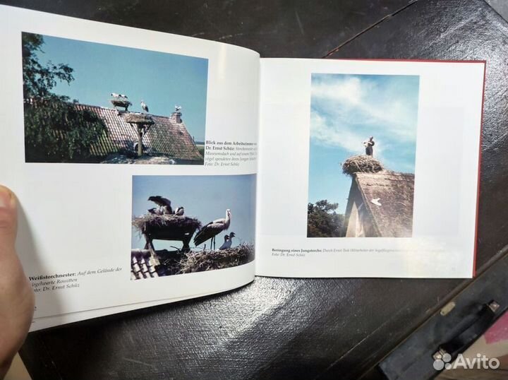 Книга От Роззиттена до Роминтена