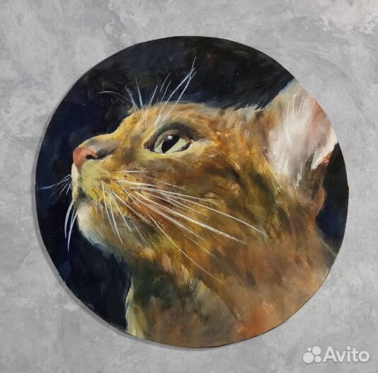 Этюд кошки маслом 18*18 см