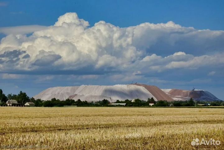 Тур в Беларусь от 7 дн