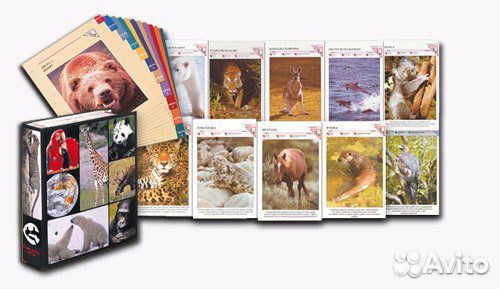 Энциклопедия 