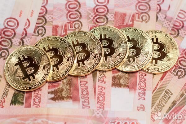 Юрист по цифровой валюте