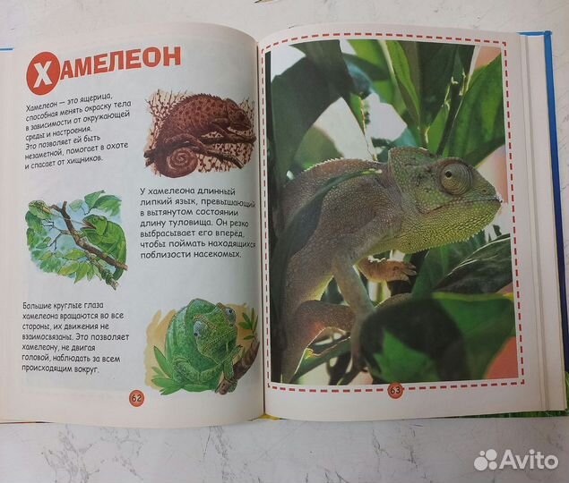 Книги для детей - Энциклопедия для малышей