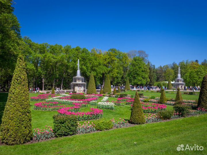 Санкт-Петербург Топ-Экскурсия Фото-экскурсия «Пете