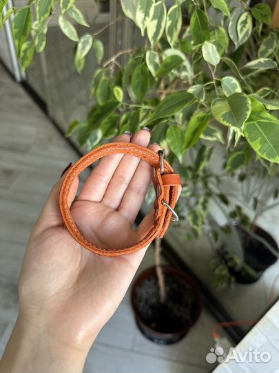 Ошейник для маленькой собаки или кошки