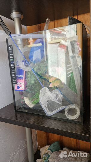 Аквариум