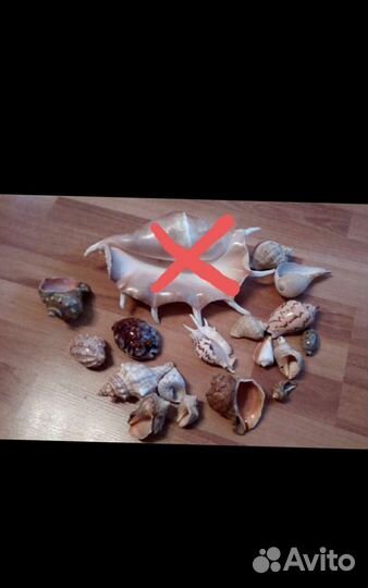 Принадлежности для аквариума набор ракушек,рыба фу