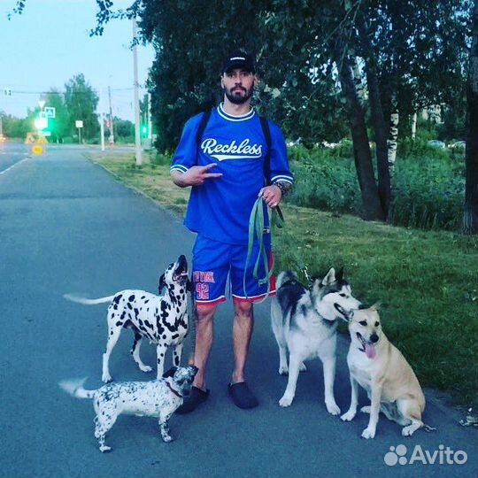 Кинолог. Передержка. Передержка с Воспитанием