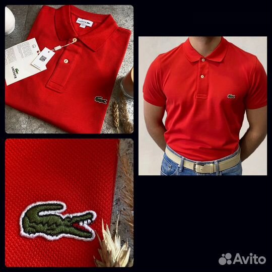 Поло Lacoste