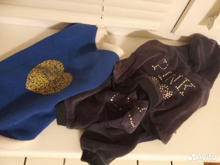 Ботинки для маленькой собаки