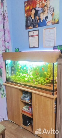 Аквариум