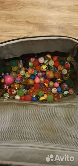 Коллеция прыгунов