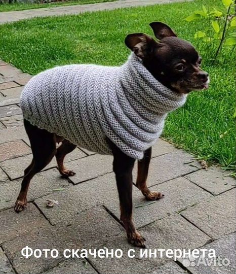 Теплая одежда для собак и кошек