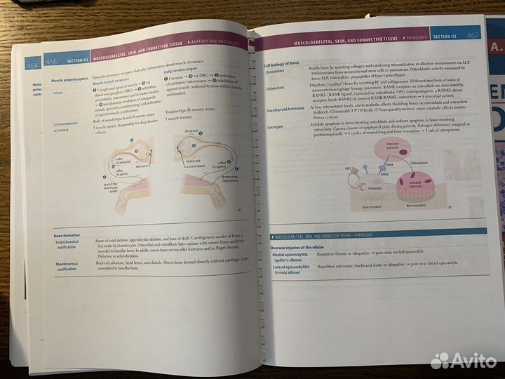 Usmle step 1. 2022. Две книги