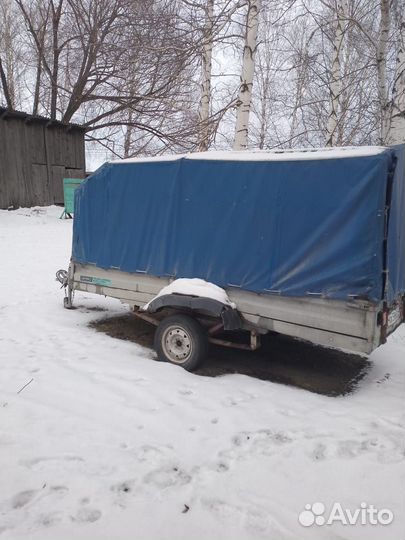 Аренда легкового прицепа