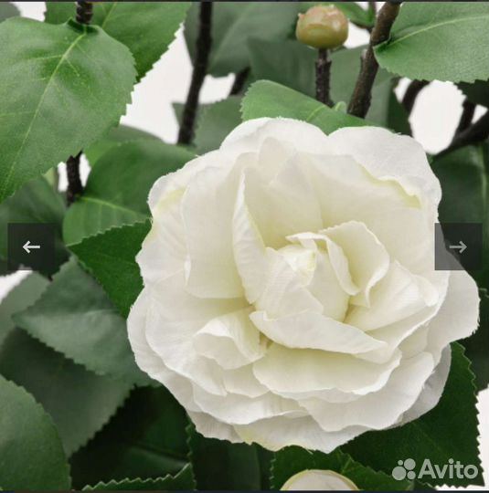 Фейка IKEA икея камелия белая, кашпо мускот