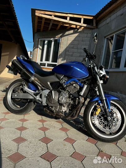 Honda cb600 hornet