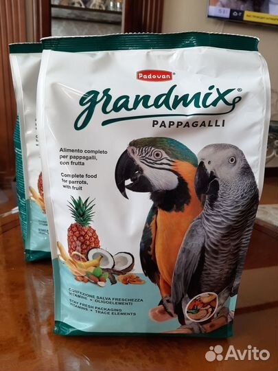 Возьмем на время Вашего отъезда Вашу птичку, Жако