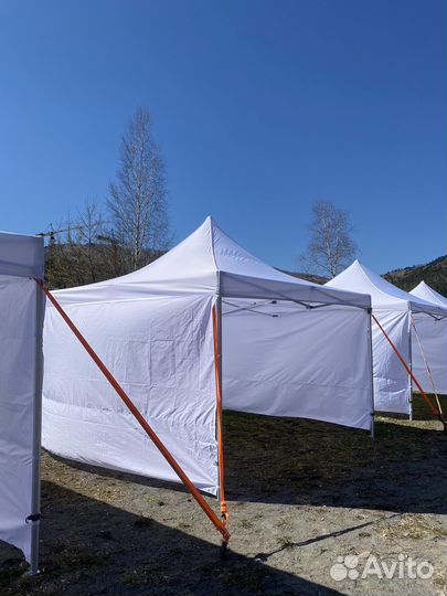 Палатка в аренду