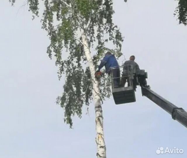 Спил дерева,покос травы