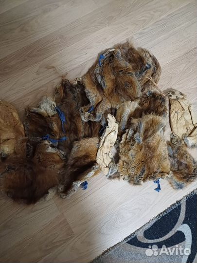 Шкуры андатры