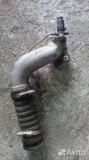 Патрубок интеркулера Man D2066