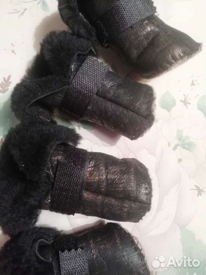 Домик для кошки собачки