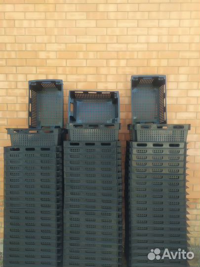 Пластиковый ящик овощной, усиленный