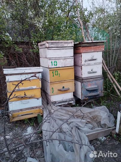 Продам медогонку, бочки, рамки