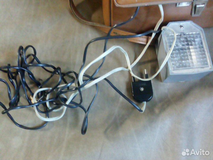 Фотовспышка чайка