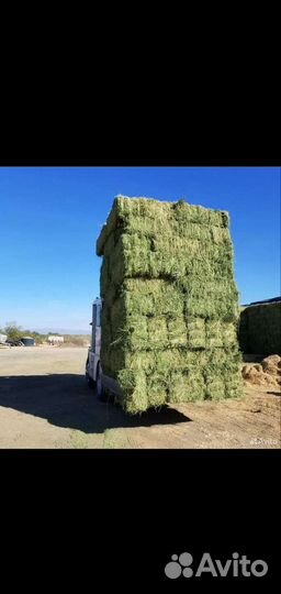 Сено в тюках 2023