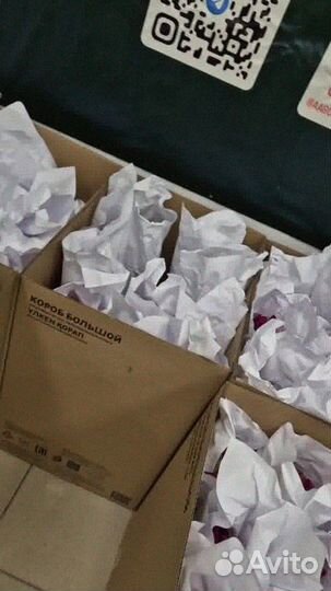 Тюльпаны опт