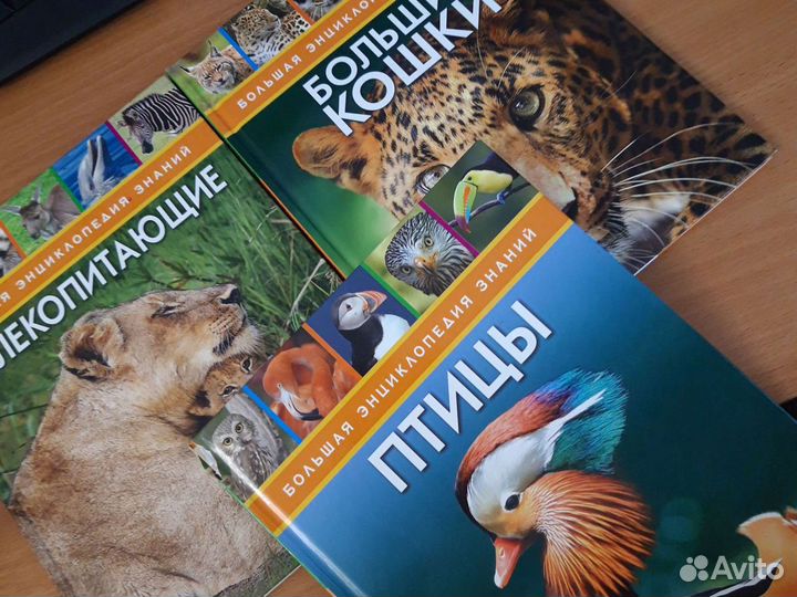 Большая энциклопедия знаний