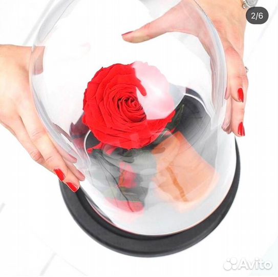 Неувядающая роза в колбе