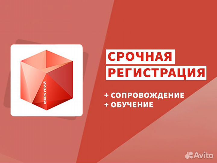 Фгис Меркурий регистрация за день/обучение/ведение