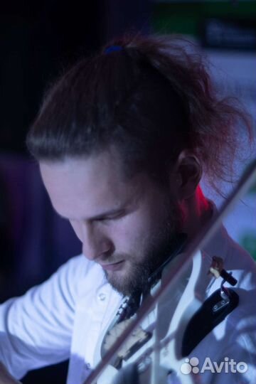 Музыкант скрипач на мероприятие, праздник